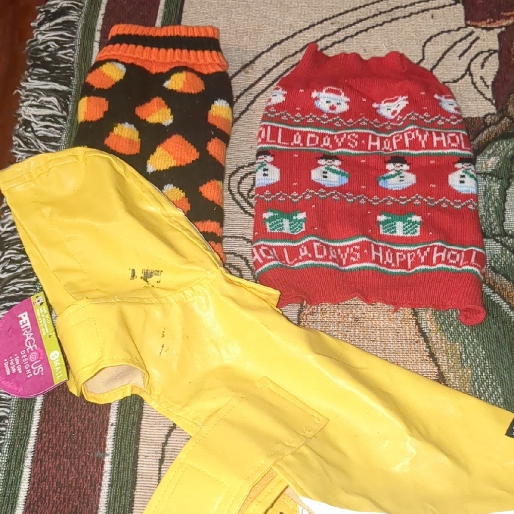 Yellow Raincoat and Festive Dog Sweaters